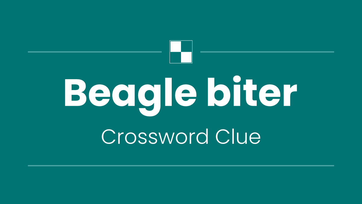 Beagle biter