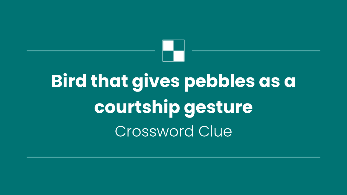 Bird that gives pebbles as a courtship gesture