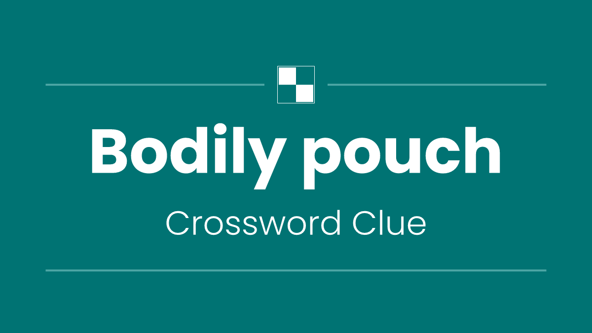 Bodily pouch