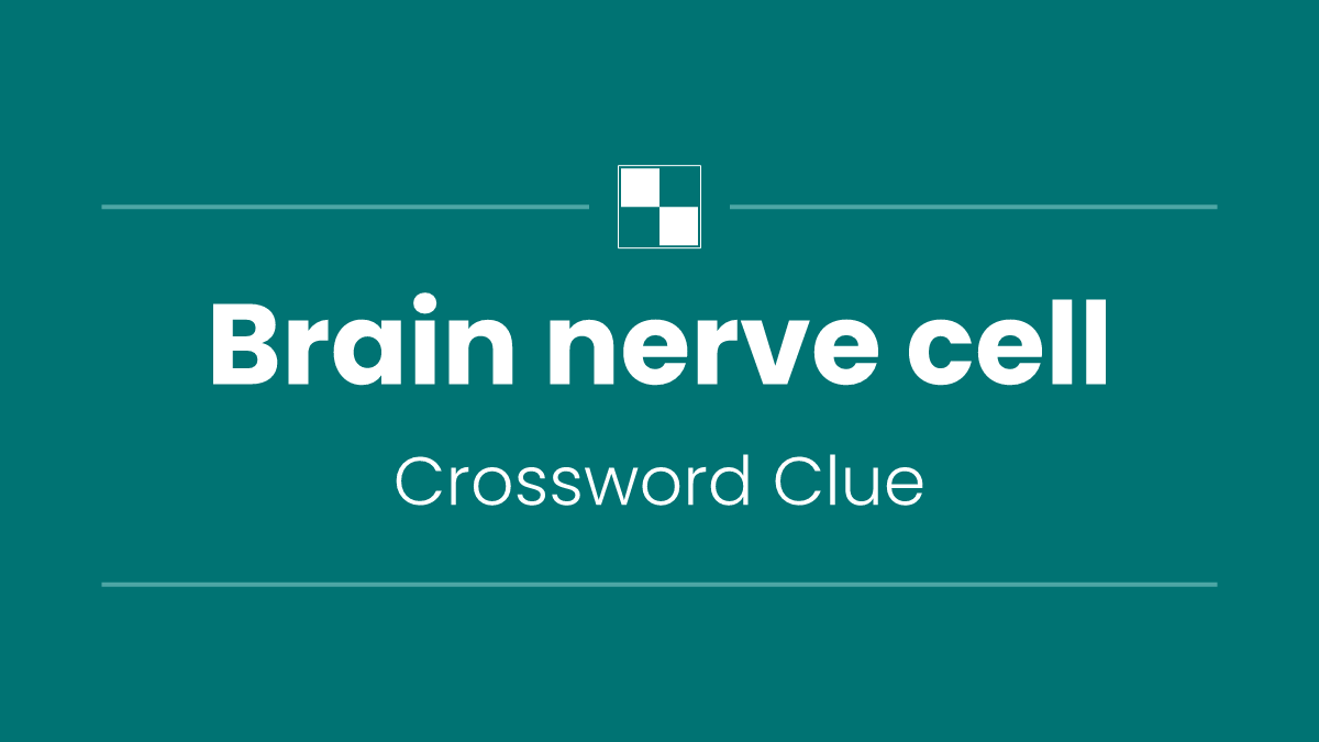 Brain nerve cell