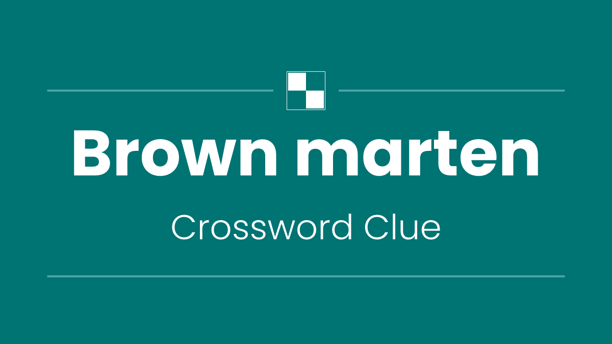 Brown marten