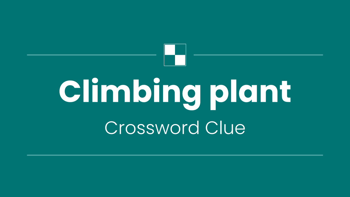 Climbing plant