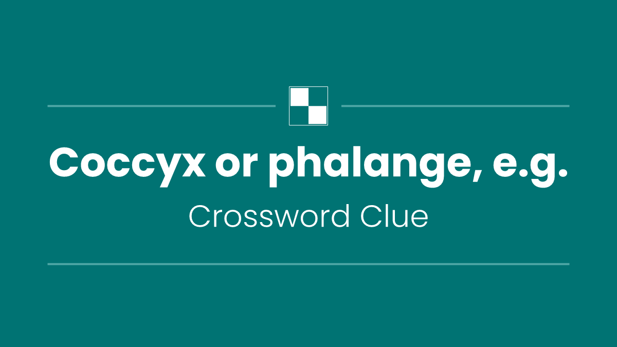 Coccyx or phalange, e.g.