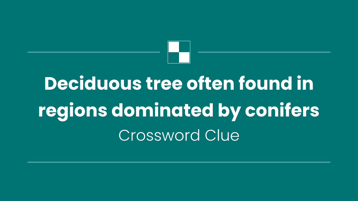 Deciduous tree often found in regions dominated by conifers