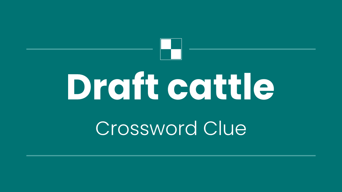 Draft cattle