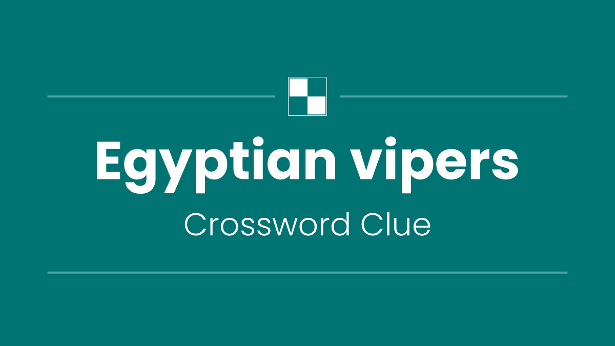 Egyptian vipers