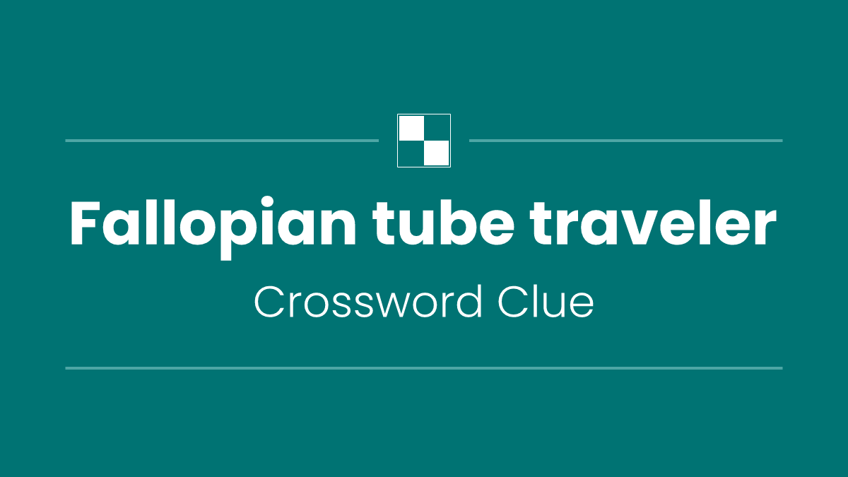 Fallopian tube traveler