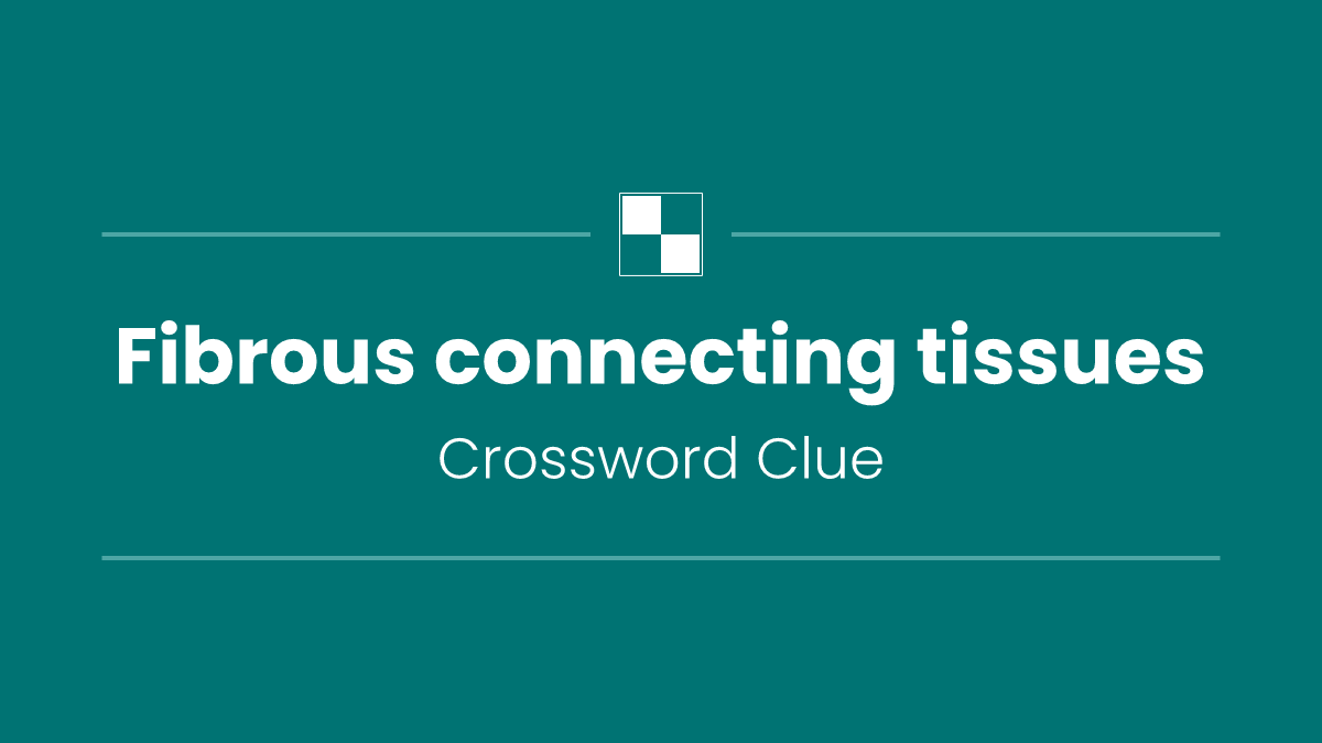 Fibrous connecting tissues