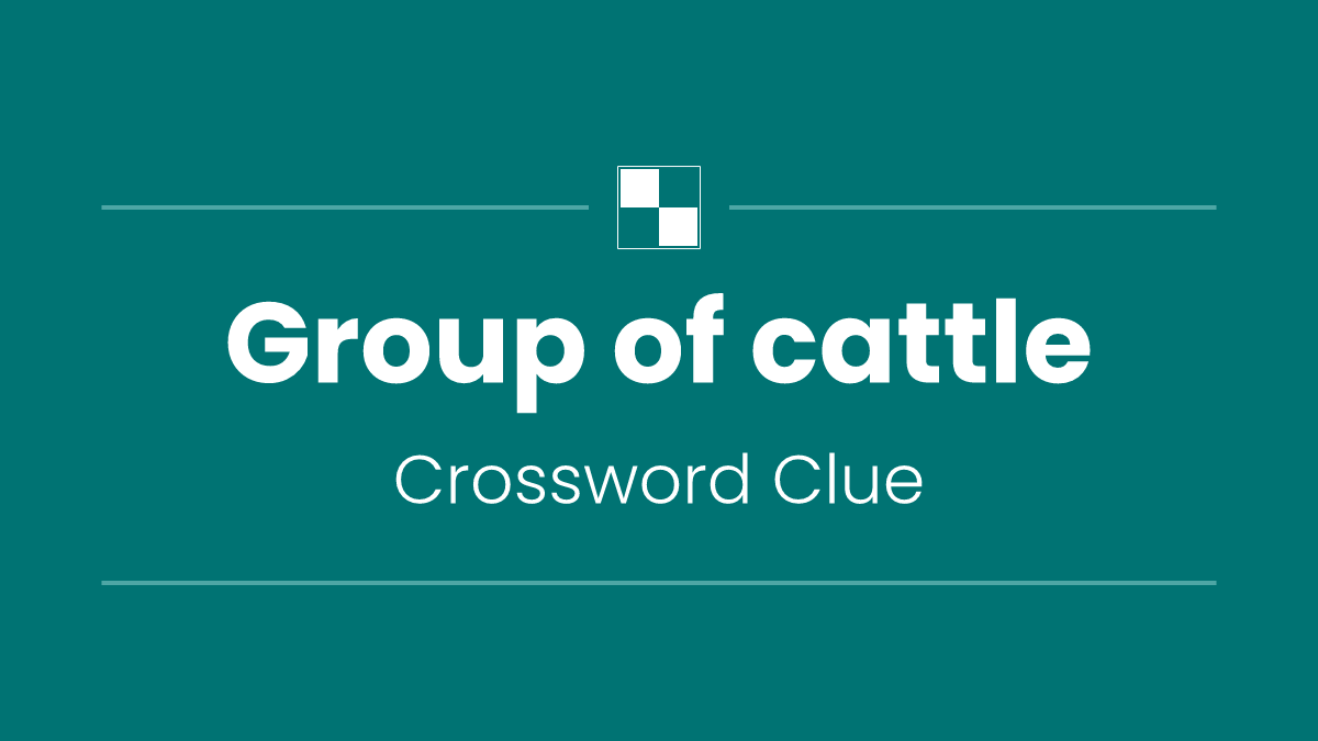 Group of cattle