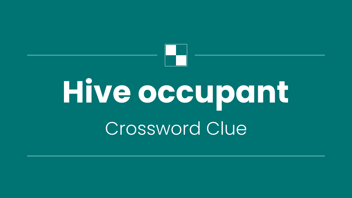 Hive occupant