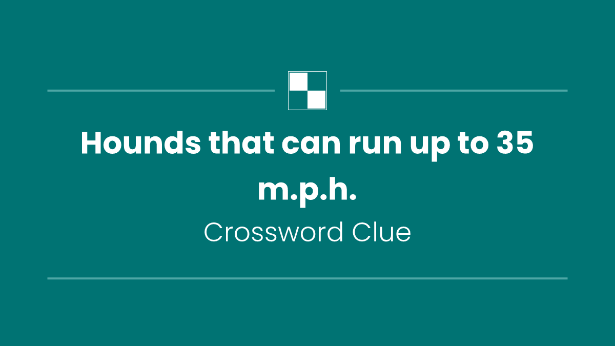 Hounds that can run up to 35 m.p.h.