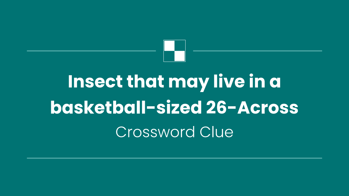Insect that may live in a basketball-sized 26-Across