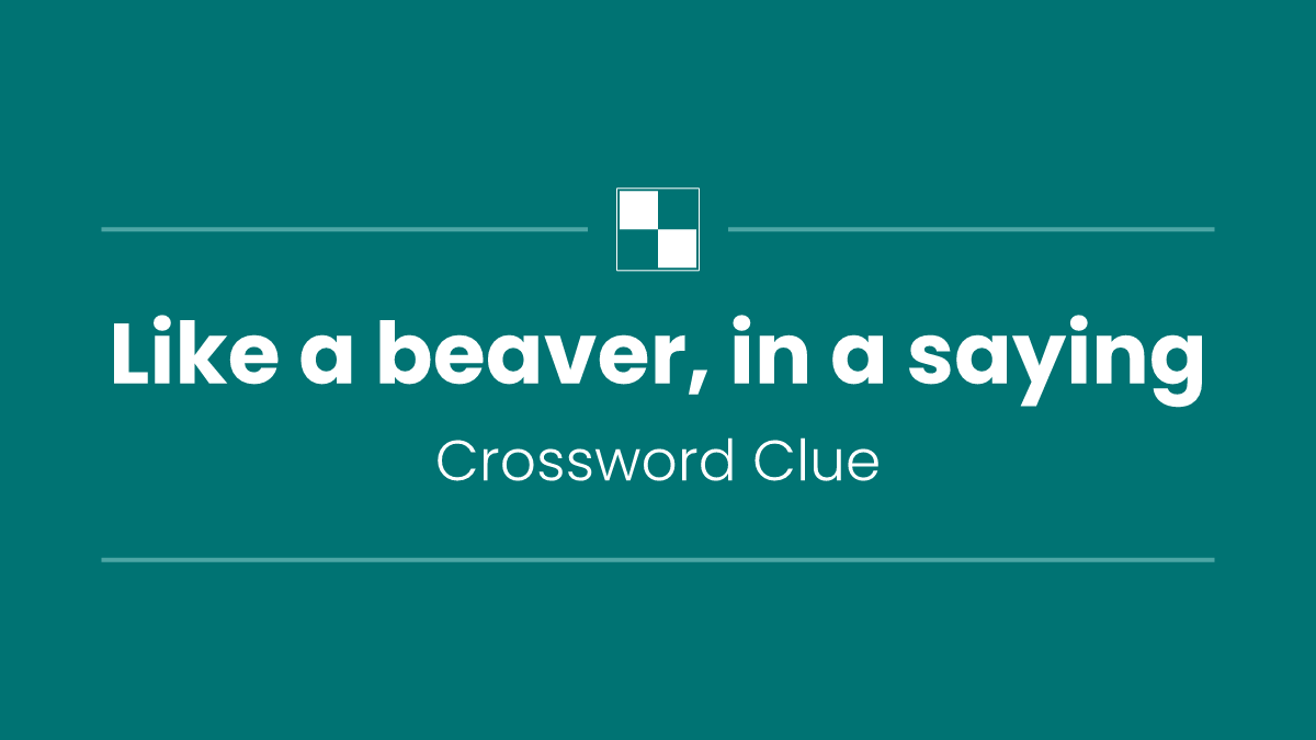 Like a beaver, in a saying