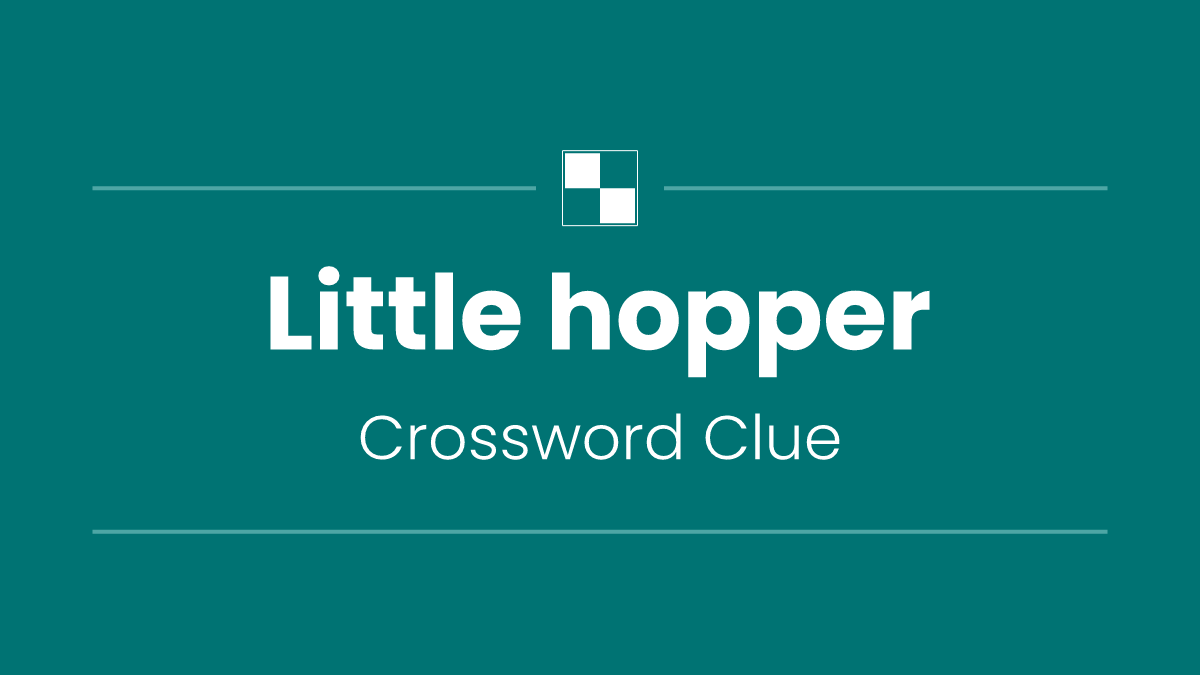 Little hopper