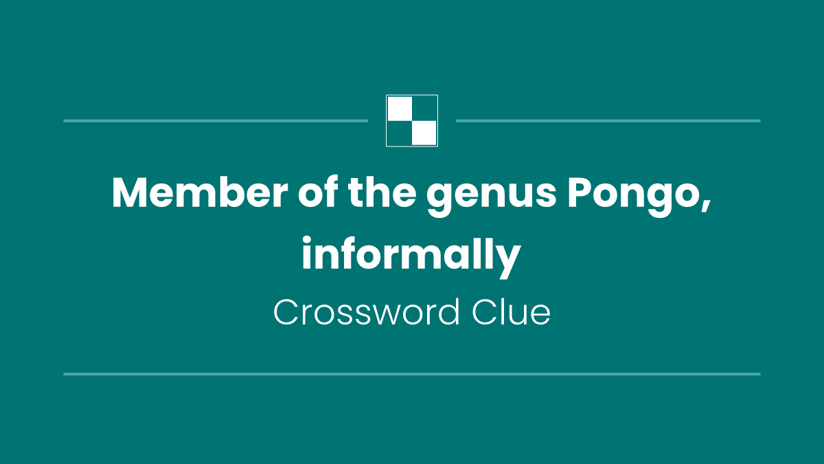 Member of the genus Pongo, informally
