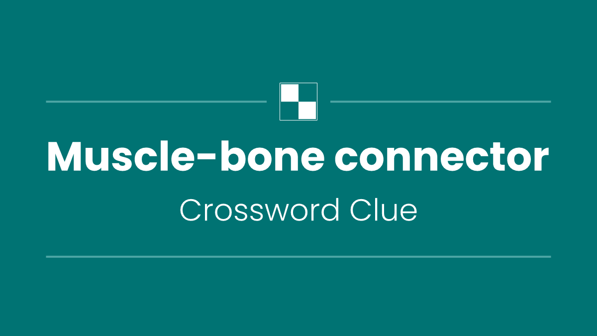 Muscle-bone connector