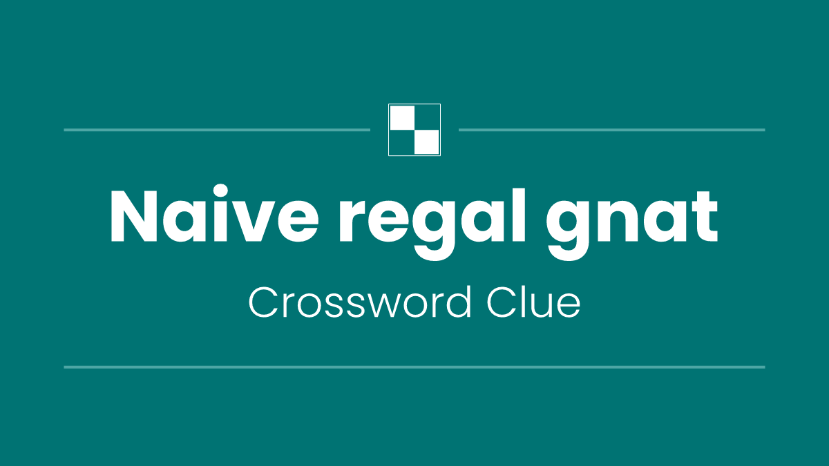Naive regal gnat