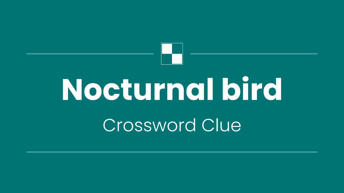 Nocturnal bird