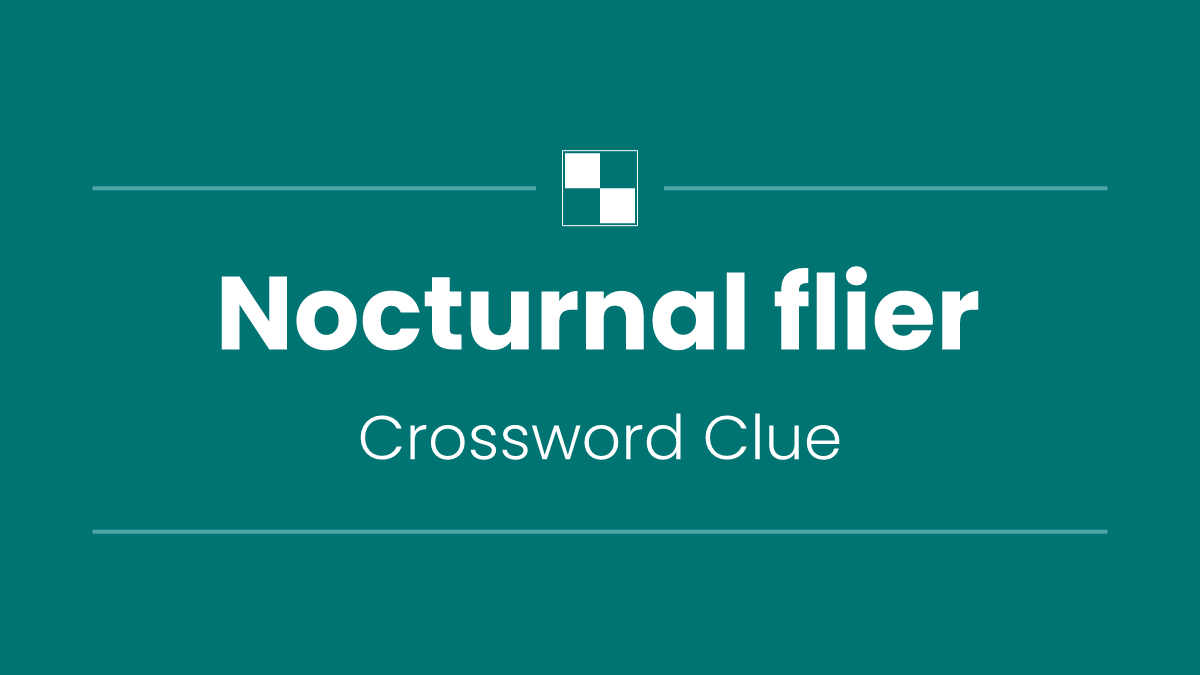 Nocturnal flier