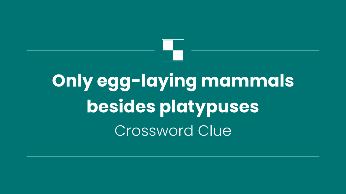 Only egg-laying mammals besides platypuses