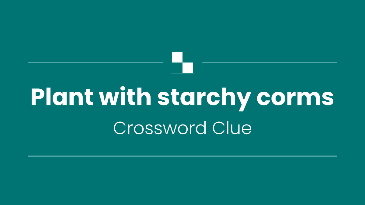 Plant with starchy corms