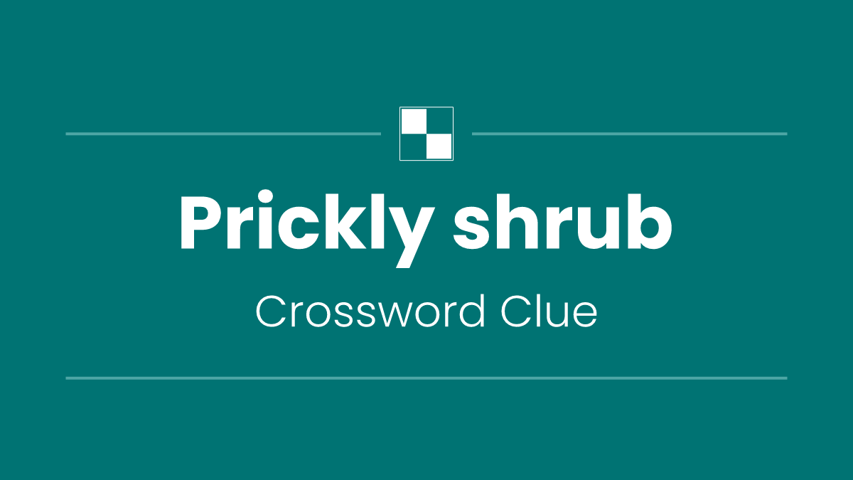 Prickly shrub