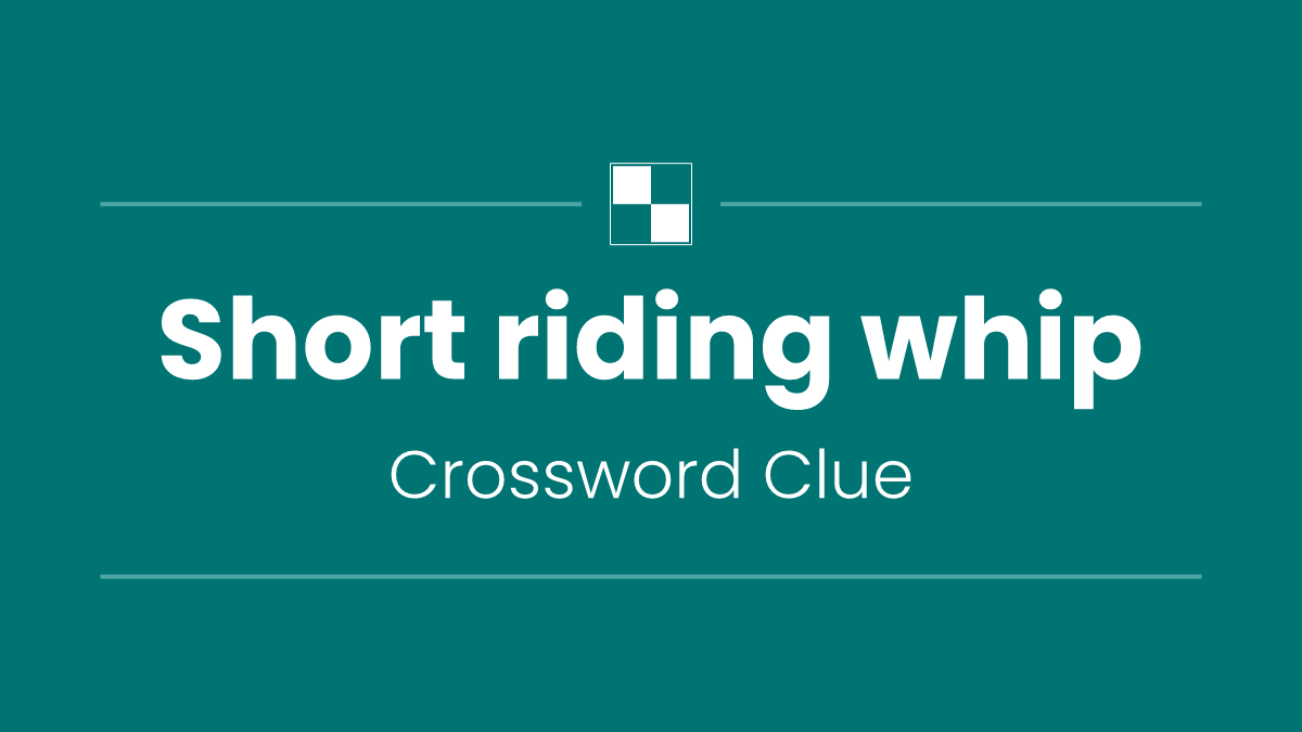 Short riding whip