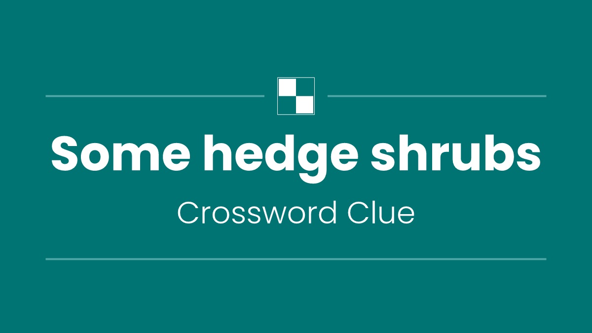 Some hedge shrubs