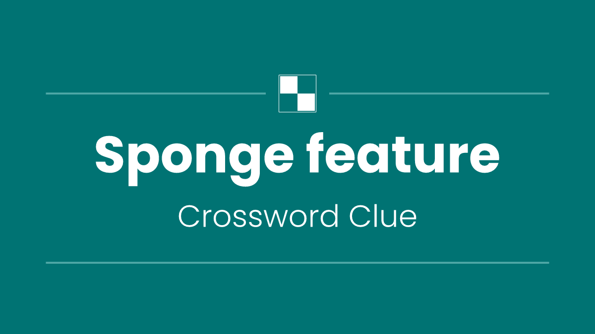 Sponge feature