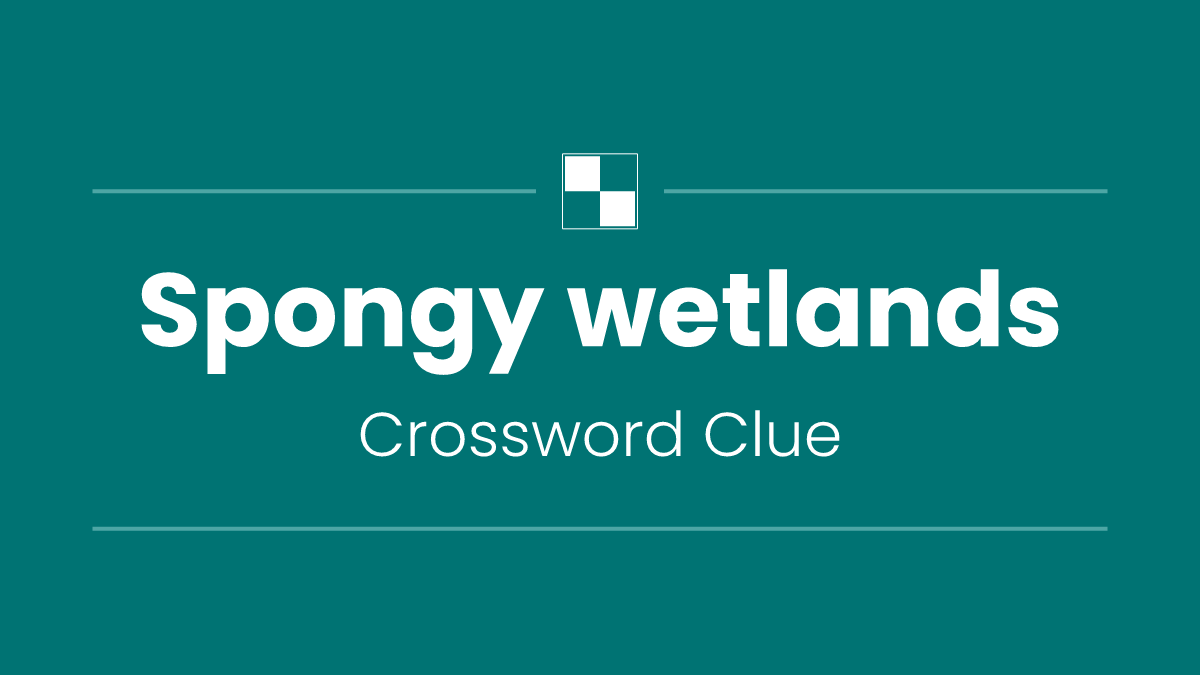Spongy wetlands