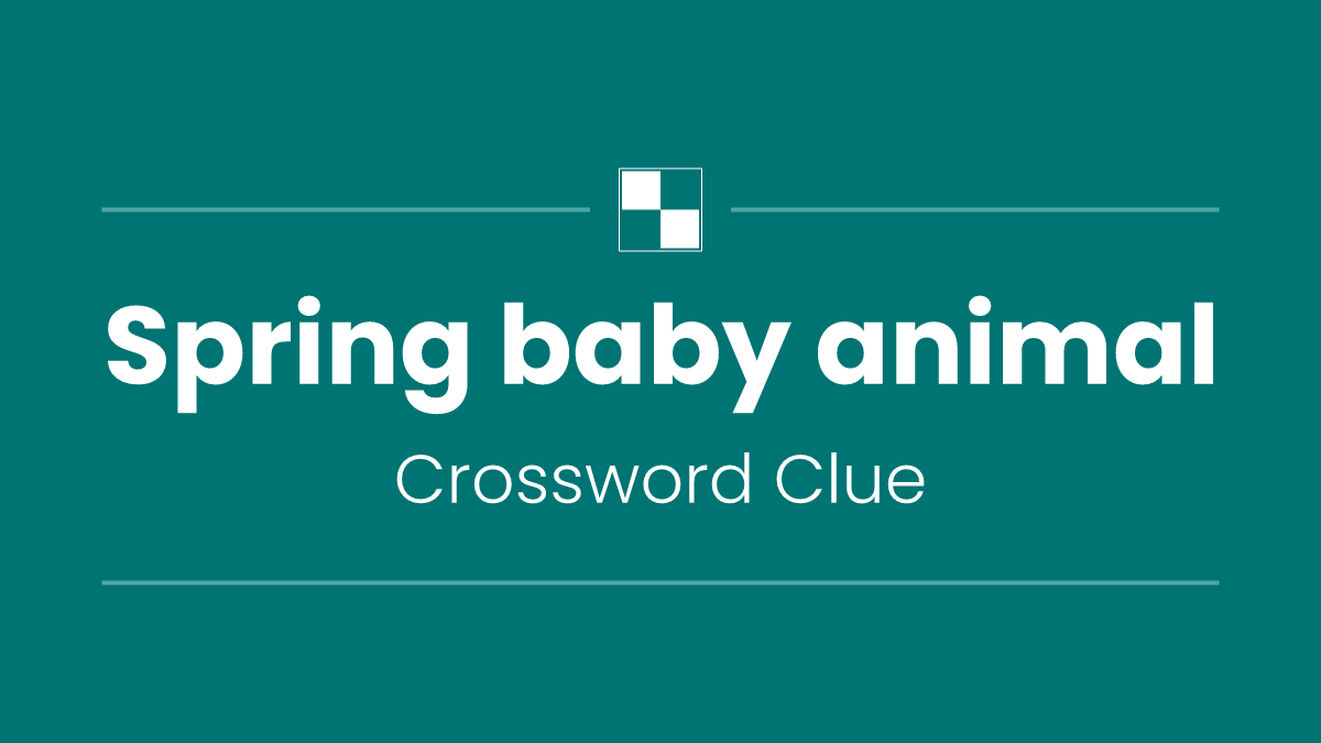 Spring baby animal