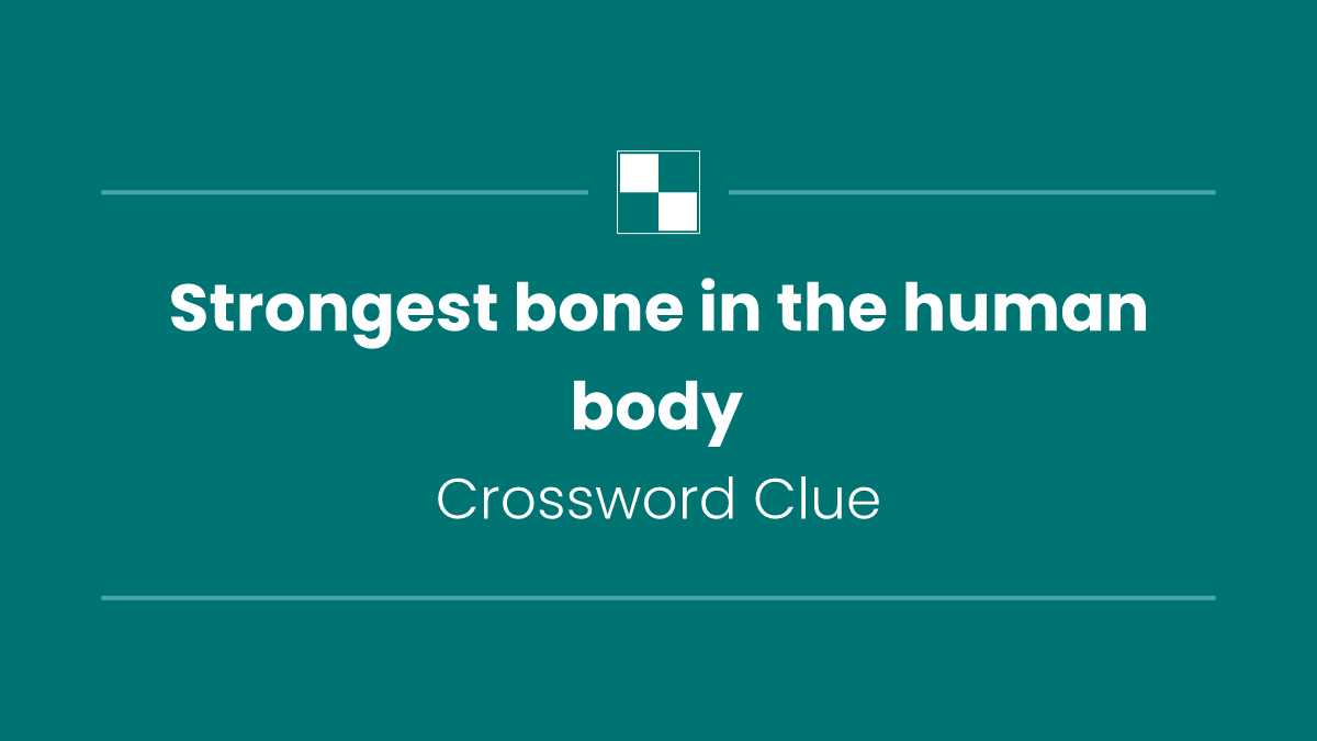 Strongest bone in the human body