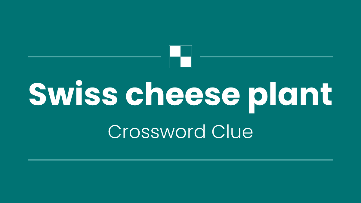 Swiss cheese plant