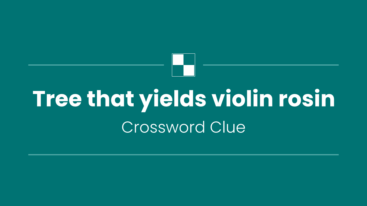 Tree that yields violin rosin