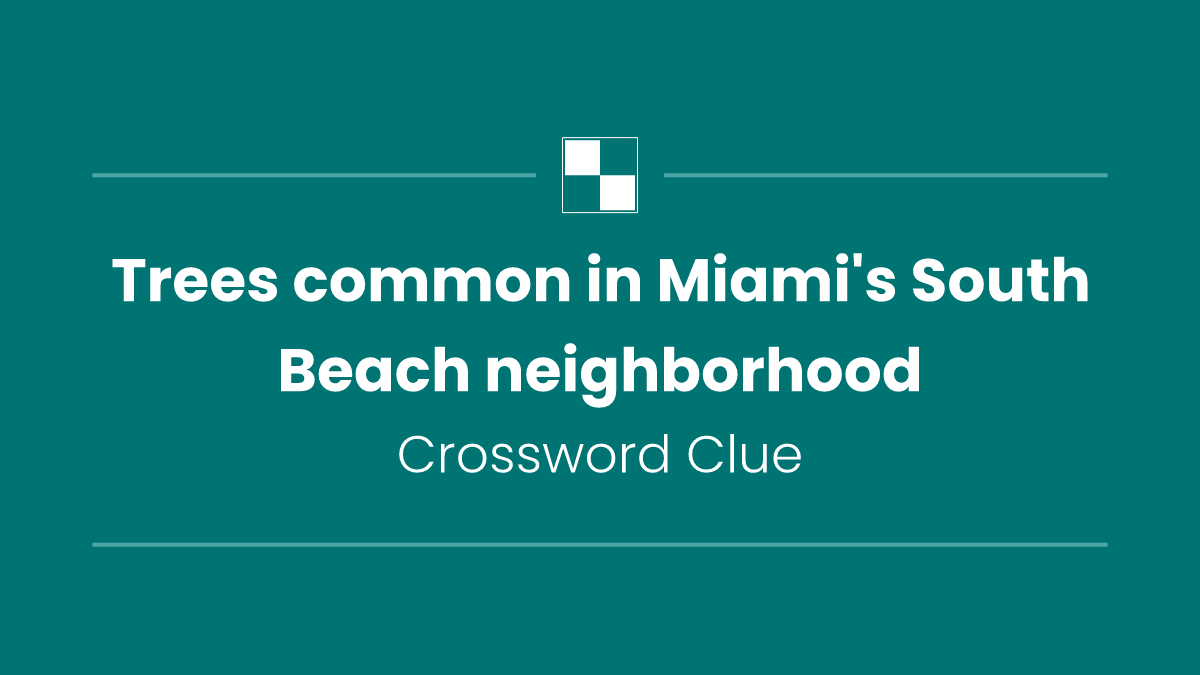 Trees common in Miami's South Beach neighborhood