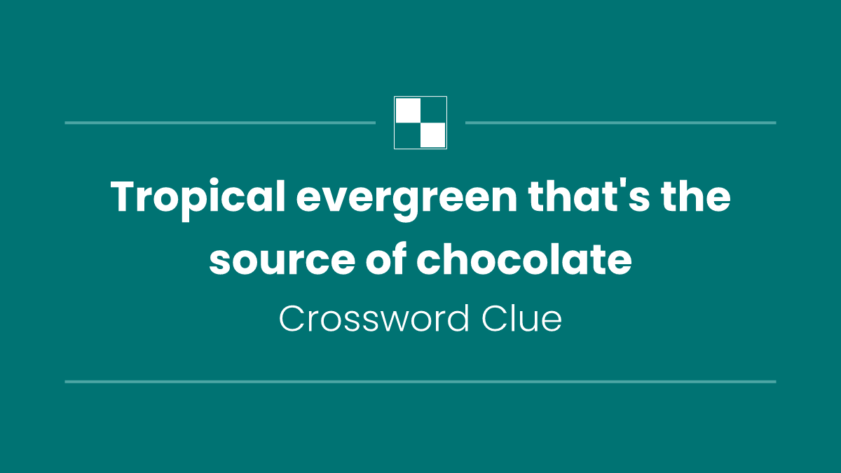 Tropical evergreen that's the source of chocolate