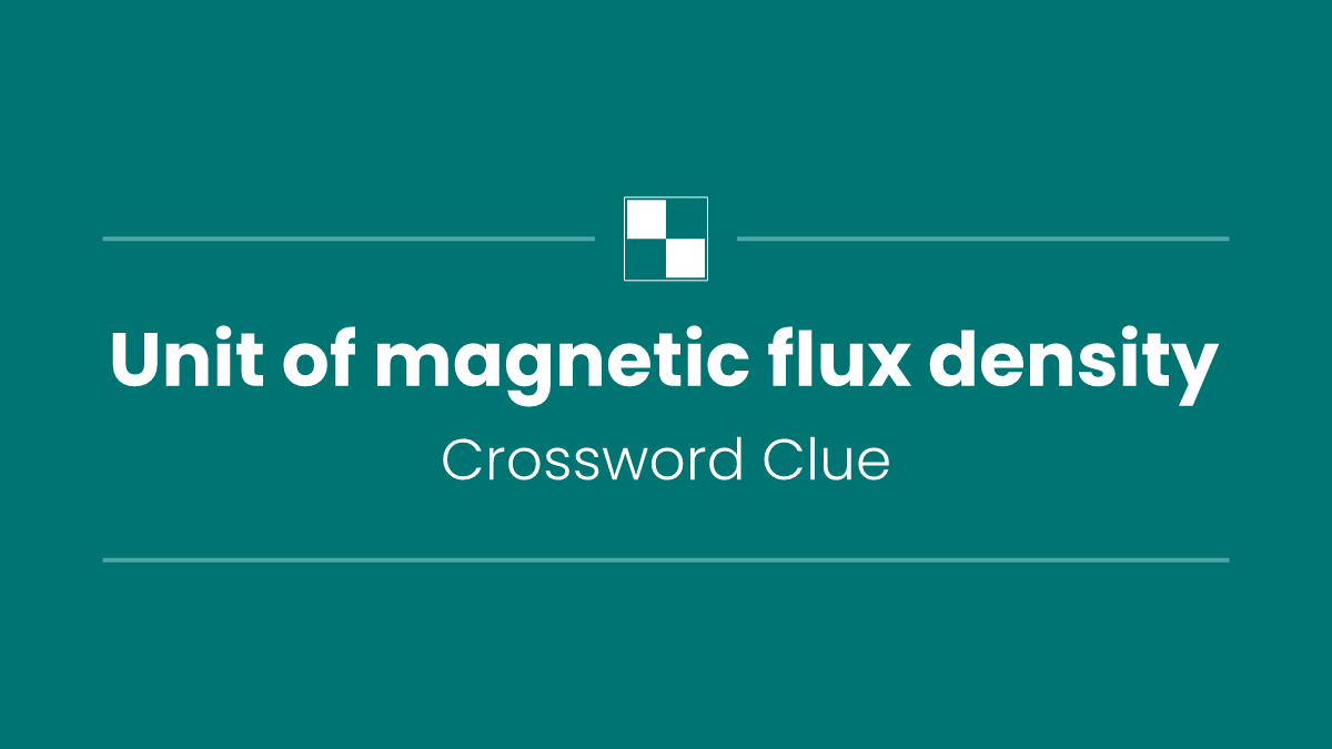 Unit of magnetic flux density