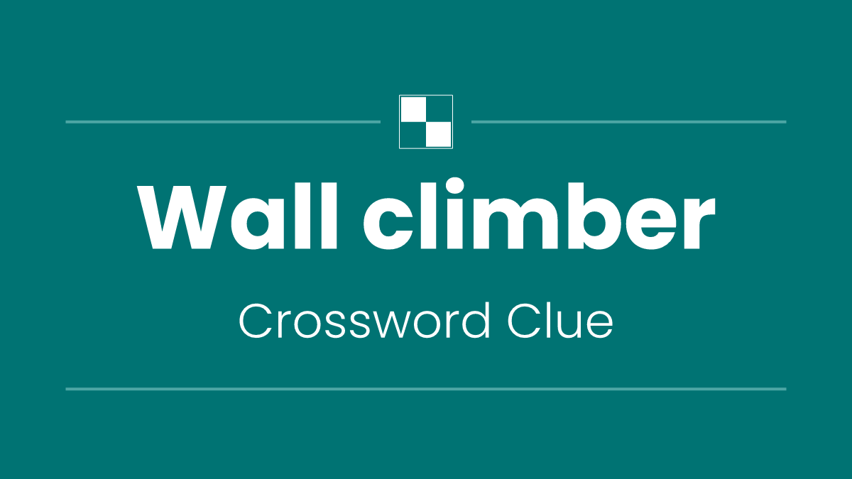 Wall climber
