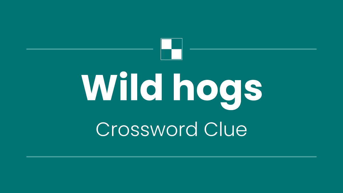 Wild hogs