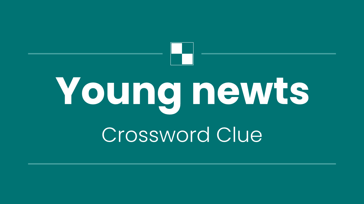 Young newts