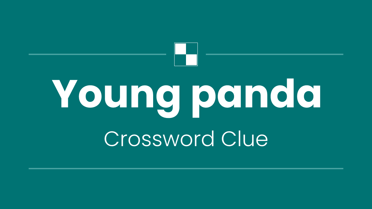 Young panda
