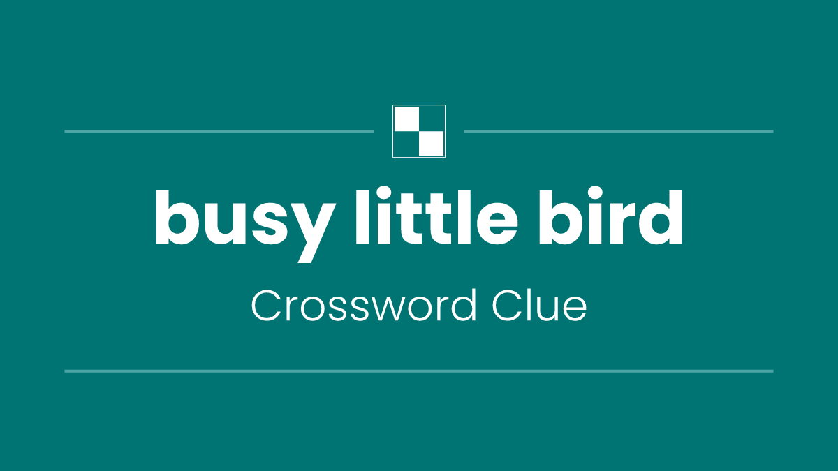 busy little bird
