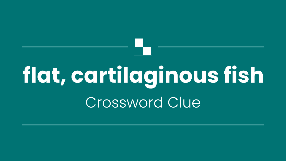 flat, cartilaginous fish