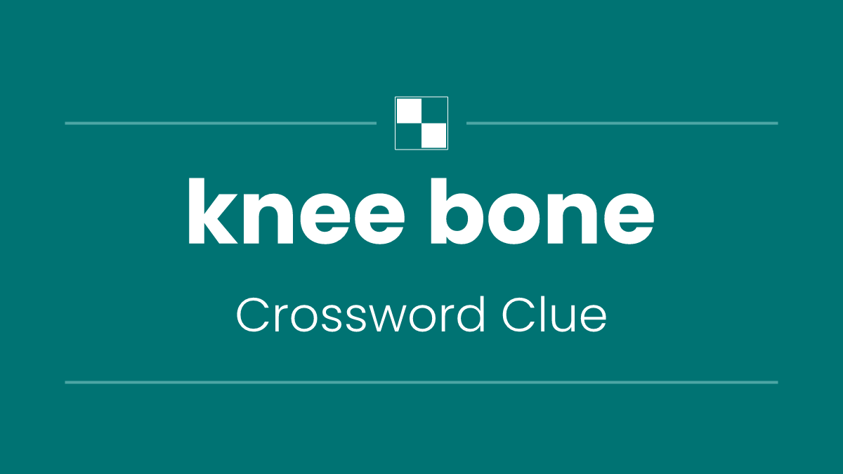 knee bone