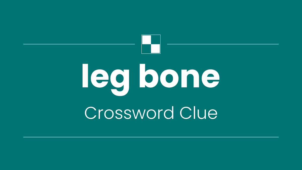 leg bone
