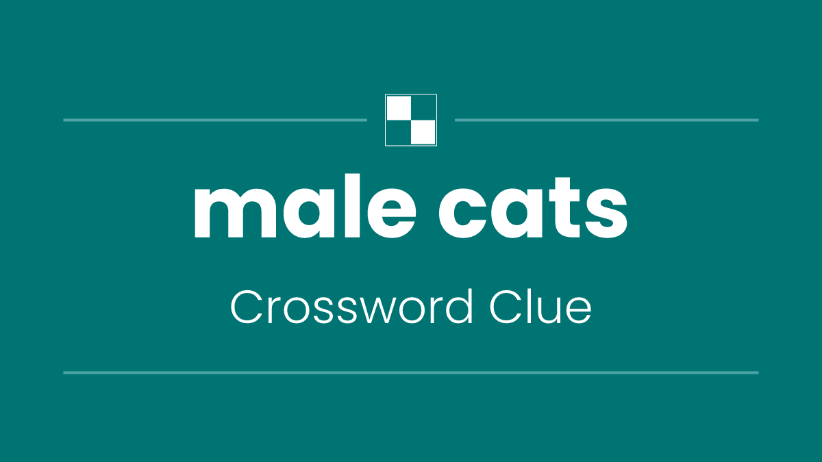 male cats