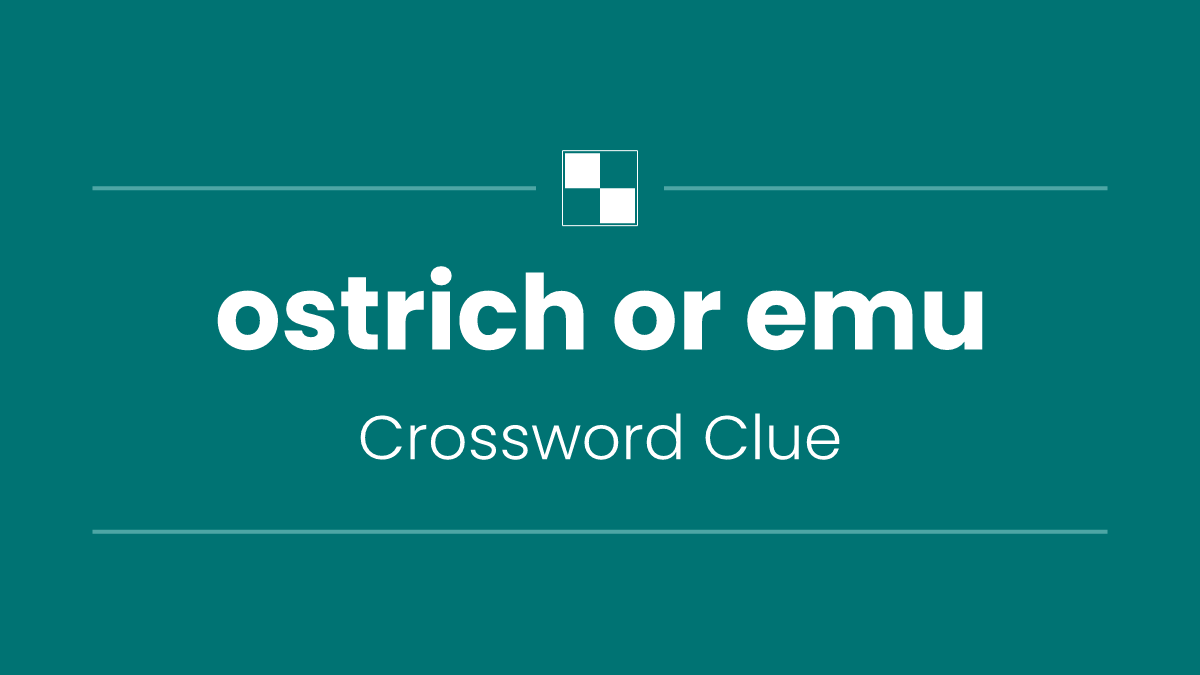 ostrich or emu