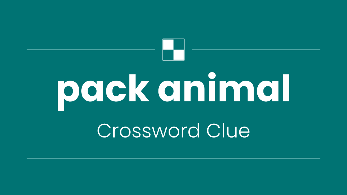 pack animal